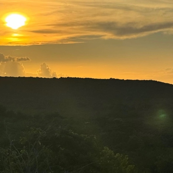 Meet your Posher, Ginalee - Picture 1 of 1